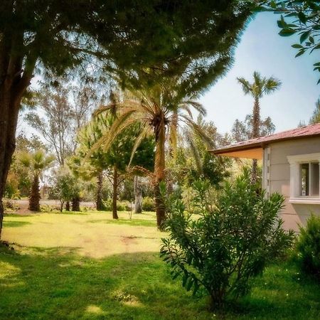 Aslihan Motel Αναμούρ Εξωτερικό φωτογραφία