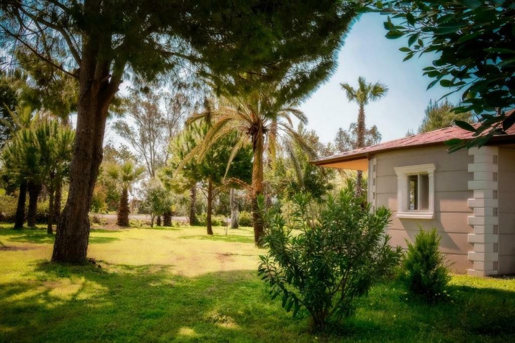 Aslihan Motel Αναμούρ Εξωτερικό φωτογραφία