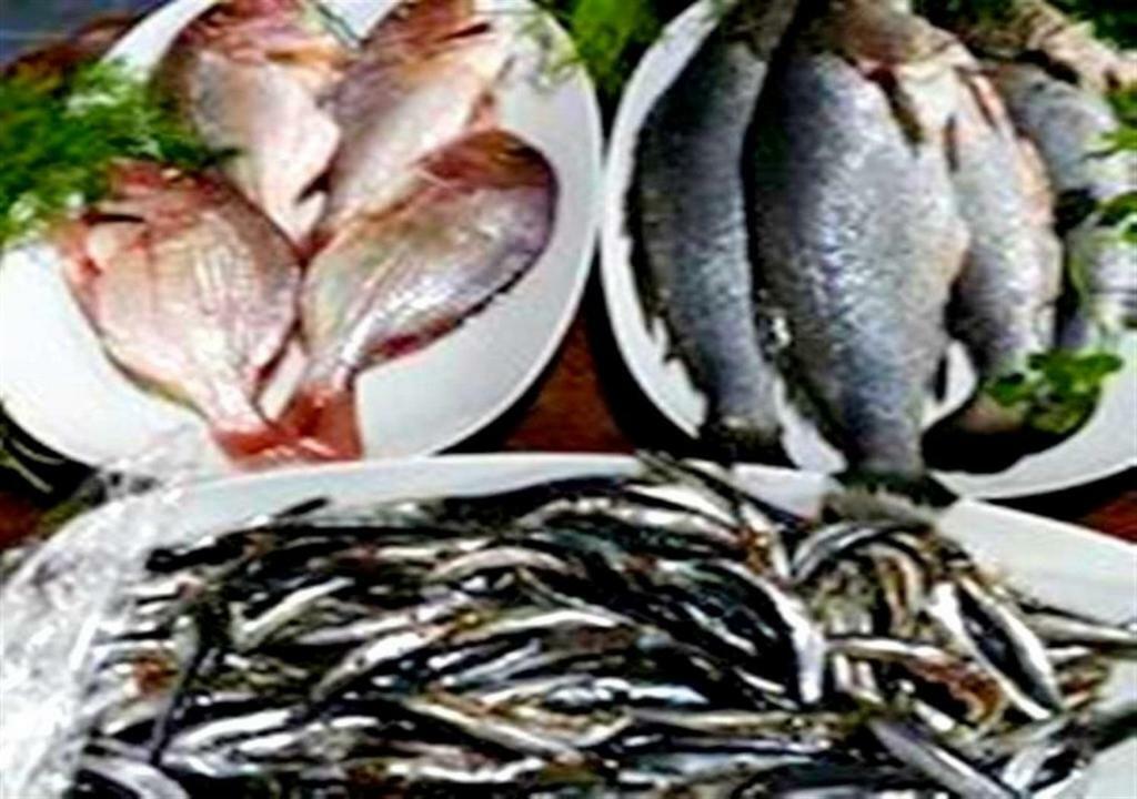 Aslihan Motel Αναμούρ Εξωτερικό φωτογραφία