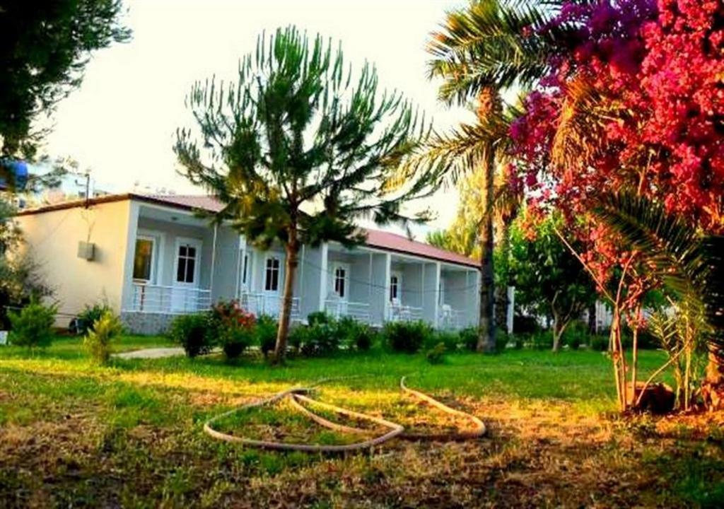 Aslihan Motel Αναμούρ Εξωτερικό φωτογραφία