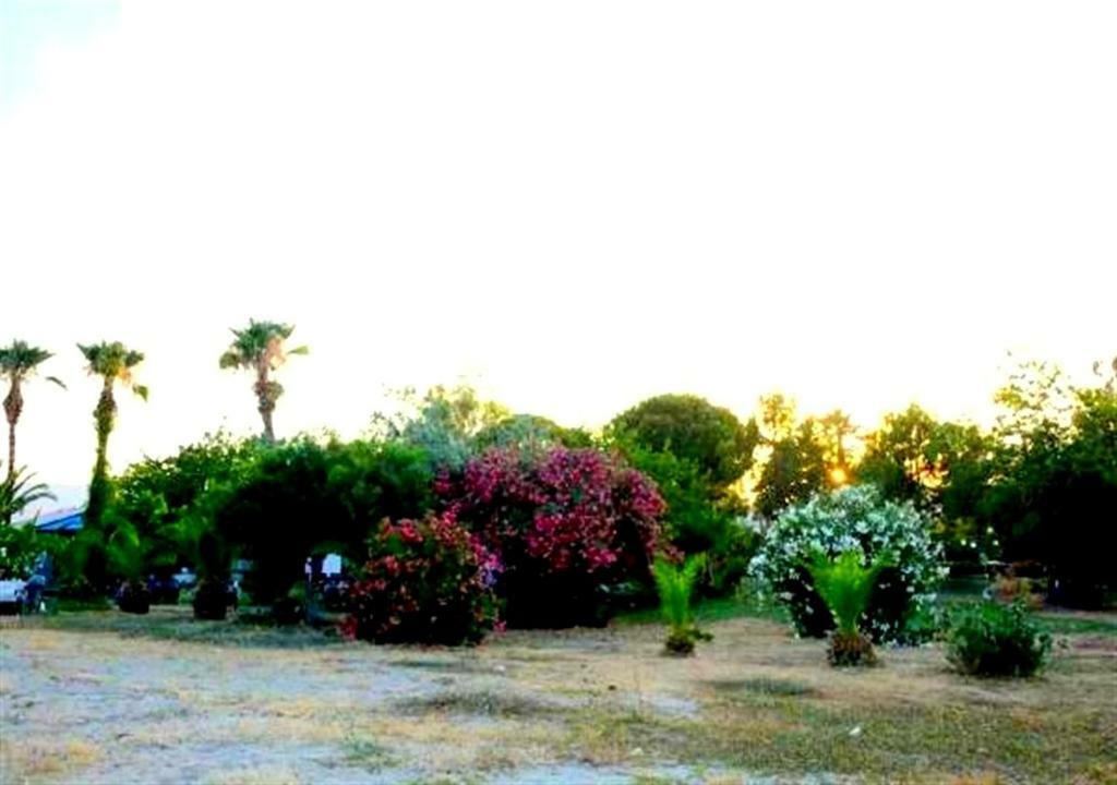Aslihan Motel Αναμούρ Εξωτερικό φωτογραφία