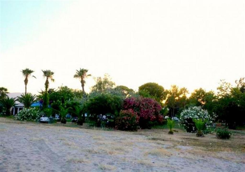 Aslihan Motel Αναμούρ Εξωτερικό φωτογραφία